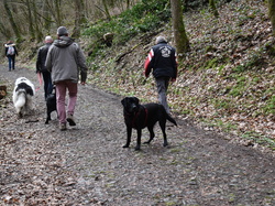  <a style='color: #fff;' href='/uploaded/photo/balade-de-reprise-2023-640df88624420.jpg'>(Télécharger)</a>