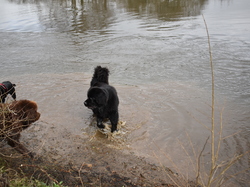  <a style='color: #fff;' href='/uploaded/photo/balade-de-reprise-2023-640df886bc036.jpg'>(Télécharger)</a>