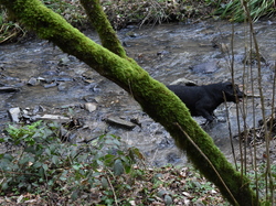  <a style='color: #fff;' href='/uploaded/photo/balade-de-reprise-2023-640df8888712b.jpg'>(Télécharger)</a>