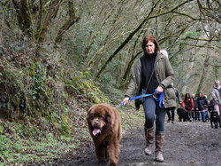  <a style='color: #fff;' href='/uploaded/photo/balade-de-reprise-2023-640df889067e0.jpg'>(Télécharger)</a>