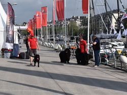  <a style='color: #fff;' href='/uploaded/photo/channel-race-2023-647b9fd8a8012.jpg'>(Télécharger)</a>