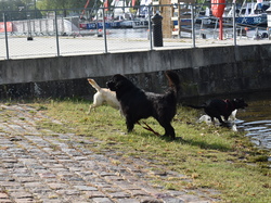  <a style='color: #fff;' href='/uploaded/photo/channel-race-2023-647b9fe8d1bb0.jpg'>(Télécharger)</a>