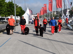  <a style='color: #fff;' href='/uploaded/photo/channel-race-2023-647b9feaaaad8.jpg'>(Télécharger)</a>