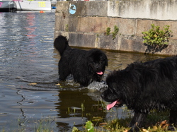  <a style='color: #fff;' href='/uploaded/photo/channel-race-2023-647ba0ce0ecb0.jpg'>(Télécharger)</a>