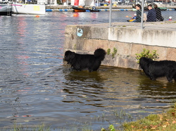  <a style='color: #fff;' href='/uploaded/photo/channel-race-2023-647ba0ce703cb.jpg'>(Télécharger)</a>