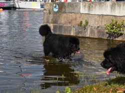  <a style='color: #fff;' href='/uploaded/photo/channel-race-2023-647ba0ced8f2e.jpg'>(Télécharger)</a>