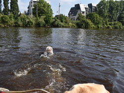  <a style='color: #fff;' href='/uploaded/photo/channel-race-2023-647ba1cc60739.jpg'>(Télécharger)</a>