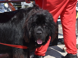  <a style='color: #fff;' href='/uploaded/photo/channel-race-2023-647ba1d9b19d6.jpg'>(Télécharger)</a>