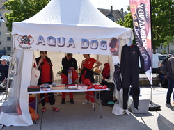  <a style='color: #fff;' href='/uploaded/photo/channel-race-2023-647ba1da8c114.jpg'>(Télécharger)</a>