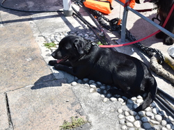  <a style='color: #fff;' href='/uploaded/photo/channel-race-2023-647cd99476e12.jpg'>(Télécharger)</a>