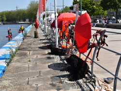  <a style='color: #fff;' href='/uploaded/photo/channel-race-2023-647cd9985e049.jpg'>(Télécharger)</a>