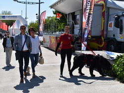  <a style='color: #fff;' href='/uploaded/photo/channel-race-2023-647cddb59d5c4.jpg'>(Télécharger)</a>