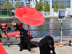  <a style='color: #fff;' href='/uploaded/photo/channel-race-2023-647cddb8795d2.jpg'>(Télécharger)</a>