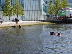  <a style='color: #fff;' href='/uploaded/photo/channel-race-2023-647cddc44d99b.jpg'>(Télécharger)</a>