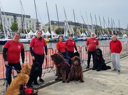  <a style='color: #fff;' href='/uploaded/photo/channel-race-2024-6706d9be6473a.jpg'>(Télécharger)</a>