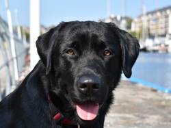  <a style='color: #fff;' href='/uploaded/photo/channel-race-2024-6706d9e61ac93.jpg'>(Télécharger)</a>