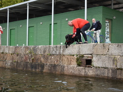  <a style='color: #fff;' href='/uploaded/photo/channel-race-2024-6706da4ae7096.jpg'>(Télécharger)</a>