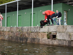  <a style='color: #fff;' href='/uploaded/photo/channel-race-2024-6706da4ae8232.jpg'>(Télécharger)</a>