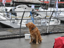  <a style='color: #fff;' href='/uploaded/photo/channel-race-2024-6706da4b54c47.jpg'>(Télécharger)</a>