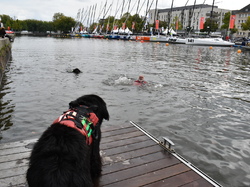  <a style='color: #fff;' href='/uploaded/photo/channel-race-2024-6706da6a6f56a.jpg'>(Télécharger)</a>