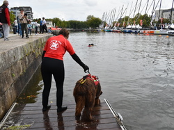  <a style='color: #fff;' href='/uploaded/photo/channel-race-2024-6706daa3b7f7a.jpg'>(Télécharger)</a>