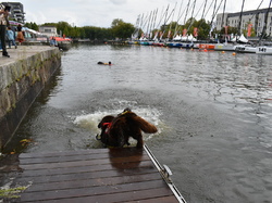  <a style='color: #fff;' href='/uploaded/photo/channel-race-2024-6706daa488d58.jpg'>(Télécharger)</a>