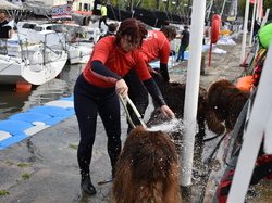  <a style='color: #fff;' href='/uploaded/photo/channel-race-2024-6706dabc8254b.jpg'>(Télécharger)</a>