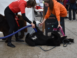  <a style='color: #fff;' href='/uploaded/photo/channel-race-2024-6706dabd475b7.jpg'>(Télécharger)</a>