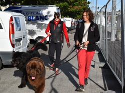  <a style='color: #fff;' href='/uploaded/photo/channel-race-2024-6706daf2d9023.jpg'>(Télécharger)</a>