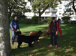  <a style='color: #fff;' href='/uploaded/photo/channel-race-2024-6706daf300e08.jpg'>(Télécharger)</a>