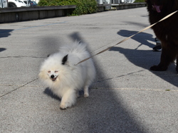  <a style='color: #fff;' href='/uploaded/photo/channel-race-2024-6706daf37c0c1.jpg'>(Télécharger)</a>