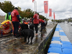  <a style='color: #fff;' href='/uploaded/photo/channel-race-2024-6706daf38a779.jpg'>(Télécharger)</a>