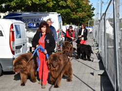  <a style='color: #fff;' href='/uploaded/photo/channel-race-2024-6706daf3b523a.jpg'>(Télécharger)</a>