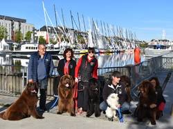  <a style='color: #fff;' href='/uploaded/photo/channel-race-2024-6706daf49930c.jpg'>(Télécharger)</a>