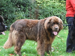  <a style='color: #fff;' href='/uploaded/photo/channel-race-2024-6706db1354b98.jpg'>(Télécharger)</a>