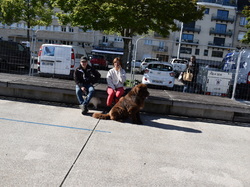  <a style='color: #fff;' href='/uploaded/photo/channel-race-2024-6706db1356cbc.jpg'>(Télécharger)</a>