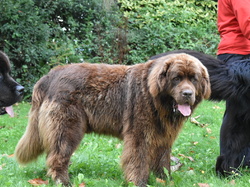  <a style='color: #fff;' href='/uploaded/photo/channel-race-2024-6706db1364885.jpg'>(Télécharger)</a>