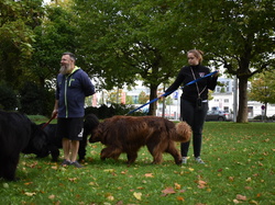  <a style='color: #fff;' href='/uploaded/photo/channel-race-2024-6706db136fa50.jpg'>(Télécharger)</a>