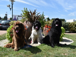  <a style='color: #fff;' href='/uploaded/photo/dy-monstration-fy-te-de-la-mer-trouville-66ad4dfc408e3.jpg'>(Télécharger)</a>