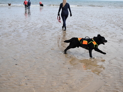  <a style='color: #fff;' href='/uploaded/photo/entrainement-2024-6693e54d65bd6.jpg'>(Télécharger)</a>