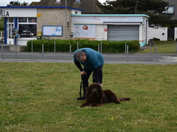  <a style='color: #fff;' href='/uploaded/photo/entrainement-2024-6693e54e4e19a.jpg'>(Télécharger)</a>