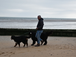  <a style='color: #fff;' href='/uploaded/photo/entrainement-2024-6693e553e22d0.jpg'>(Télécharger)</a>