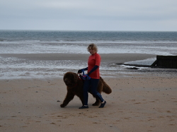  <a style='color: #fff;' href='/uploaded/photo/entrainement-2024-6693e5565582a.jpg'>(Télécharger)</a>