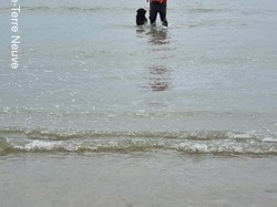  <a style='color: #fff;' href='/uploaded/photo/entrainement-2024-6693e568e5019.jpg'>(Télécharger)</a>