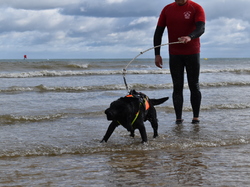  <a style='color: #fff;' href='/uploaded/photo/entrainement-2024-6693e57008f7e.jpg'>(Télécharger)</a>