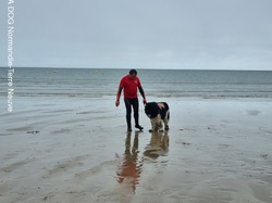  <a style='color: #fff;' href='/uploaded/photo/entrainement-2024-6693e578bbc0c.jpg'>(Télécharger)</a>