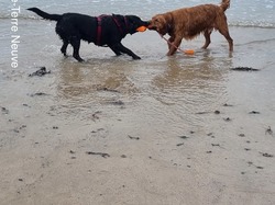  <a style='color: #fff;' href='/uploaded/photo/entrainement-2024-6693e57f8f706.jpg'>(Télécharger)</a>