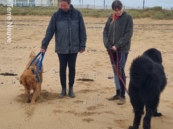  <a style='color: #fff;' href='/uploaded/photo/entrainement-2024-6693e57fe5b71.jpg'>(Télécharger)</a>