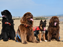  <a style='color: #fff;' href='/uploaded/photo/entrainement-2025-6875fcbe288cd.jpg'>(Télécharger)</a>