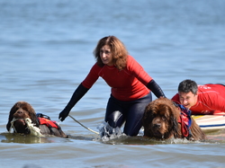  <a style='color: #fff;' href='/uploaded/photo/entrainement-2025-6875fcbecb311.jpg'>(Télécharger)</a>